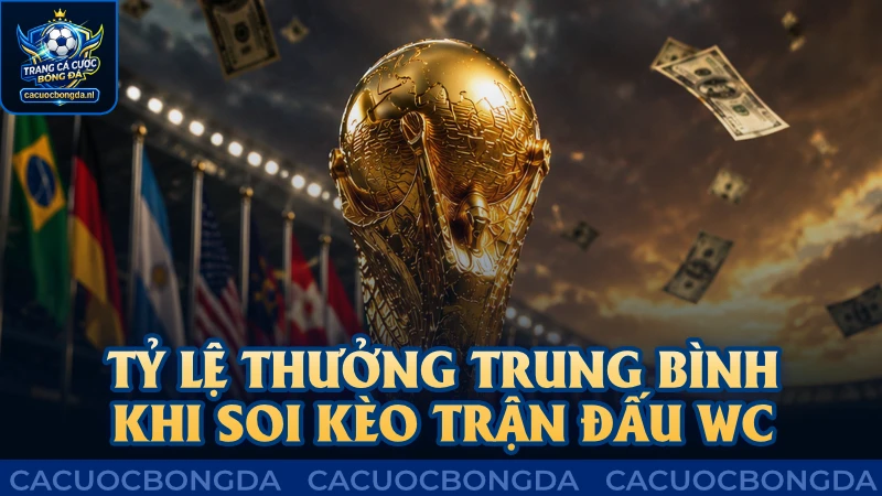 Tỷ lệ thưởng trung bình khi soi kèo trận đấu WC