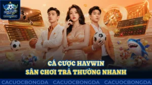 Cá cược Haywin: Sân chơi vốn nhỏ, trả thưởng nhanh