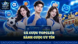 Cá cược Topclub: Sảnh cược uy tín, đẳng cấp 2026