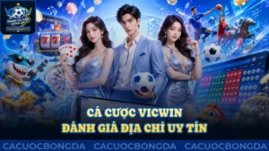Cá cược Vicwin: Đánh giá địa chỉ uy tín, chất lượng