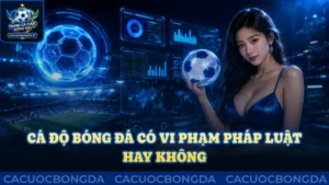 Cá độ bóng đá có vi phạm pháp luật hay không nhiều người quan tâm