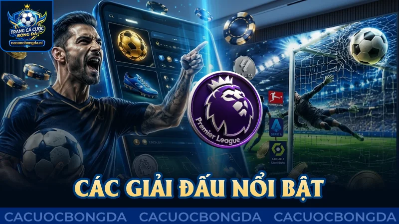 Các giải đấu nổi bật được cập nhật chi tiết
