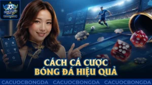 Cách cá cược bóng đá hiệu quả cho người mới