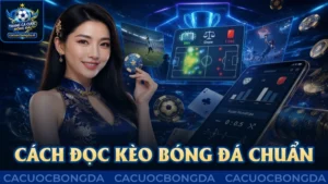 Cách đọc kèo bóng đá: Hướng dẫn cách đọc chuẩn