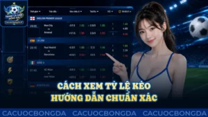 Cách xem tỷ lệ kèo đơn giản và chuẩn xác