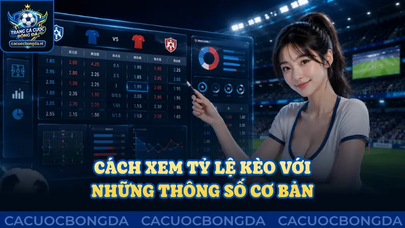 Cách xem tỷ lệ kèo qua thông số cơ bản