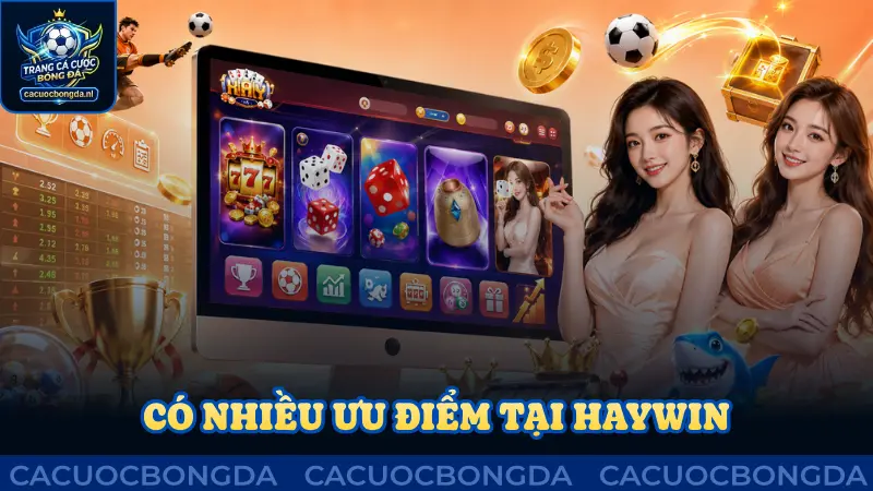 Có nhiều ưu điểm khiến người chơi đồng hành cùng Haywin