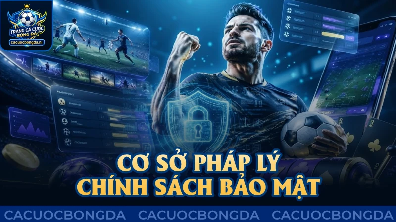 Cơ sở pháp lý theo chính sách bảo mật