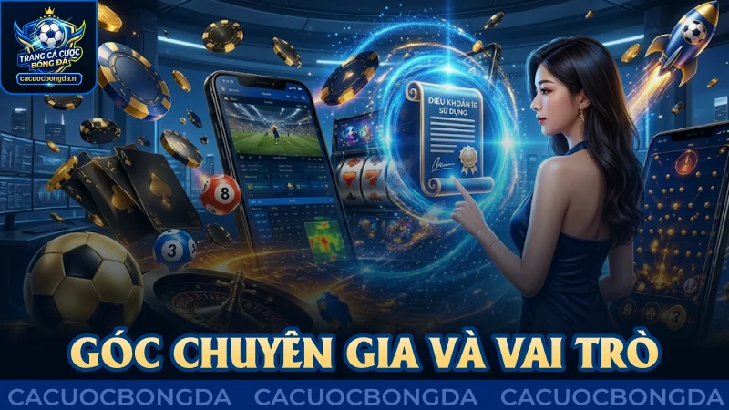 Góc chuyên gia và vai trò trong cá cược bóng đá