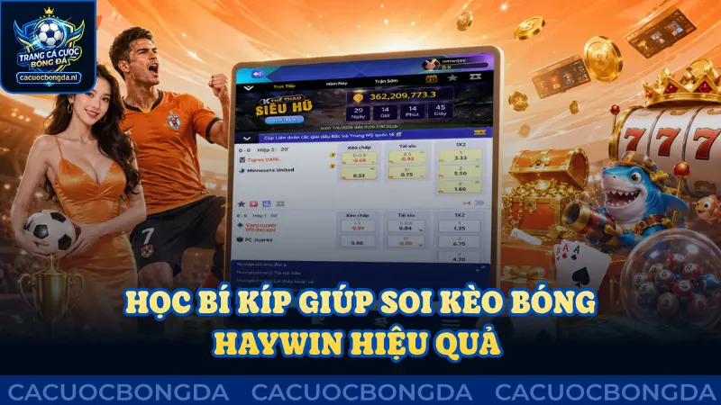 Học bí kíp giúp soi kèo bóng hiệu quả cùng Haywin