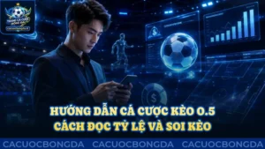 Hướng dẫn cá cược kèo 0.5: Đọc tỷ lệ và soi kèo