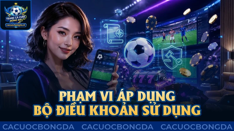 Phạm vi áp dụng bộ điều khoản sử dụng