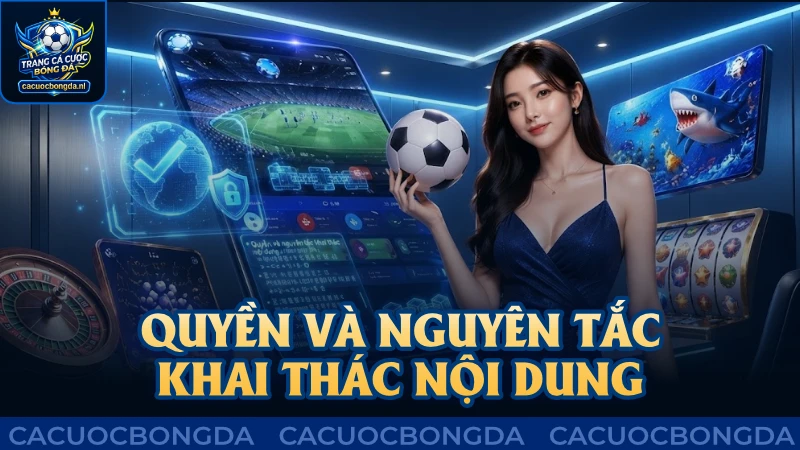 Quyền và nguyên tắc khai thác nội dung theo điều khoản