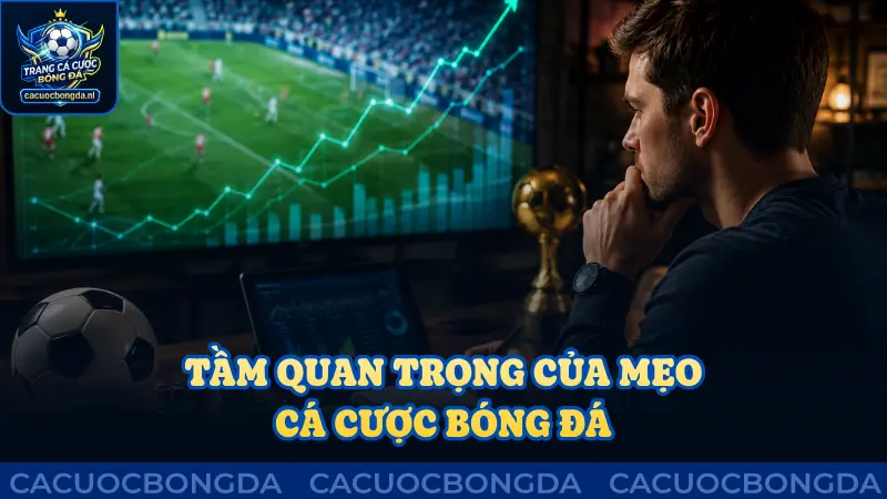 Tầm quan trọng khi áp dụng mẹo cá cược bóng đá 