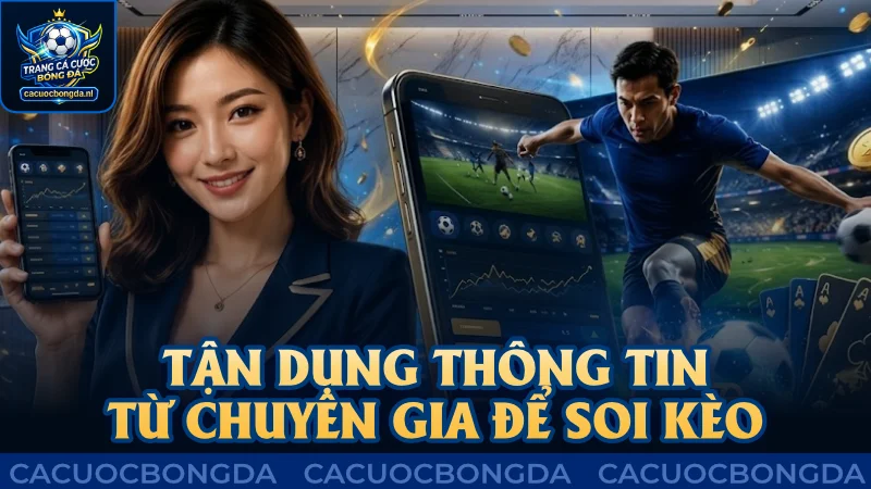 Tận dụng thông tin từ chuyên gia để soi kèo hiệu quả