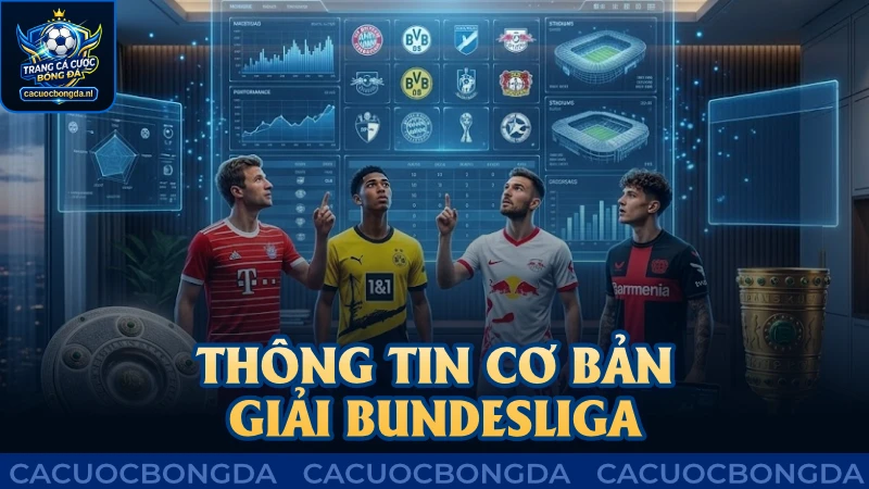 Thông tin cơ bản giải đấu Bundesliga