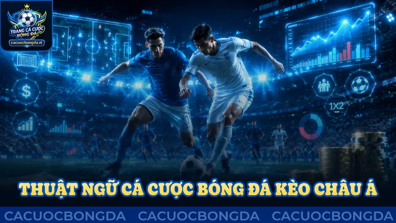 Thuật ngữ cá cược bóng đá với loại kèo châu Á