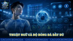 Thuật ngữ cá độ bóng đá đầy đủ cần quan tâm