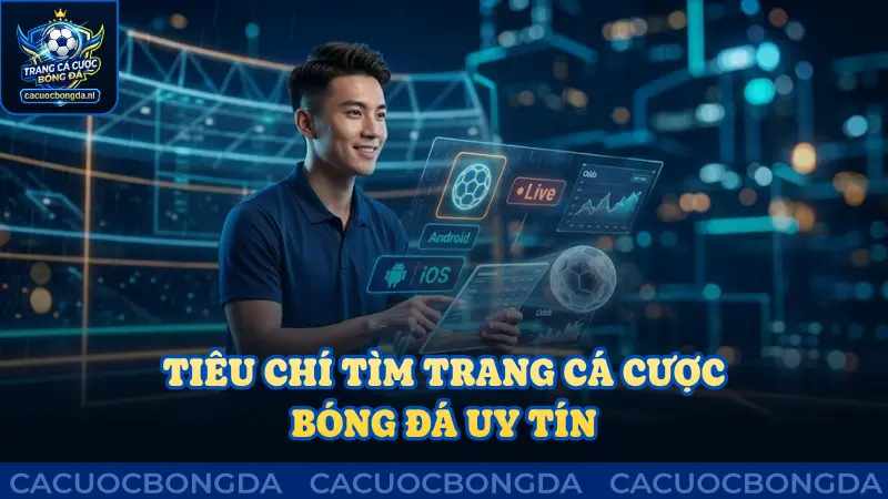 Tiêu chí giúp tìm trang cá cược bóng đá uy tín