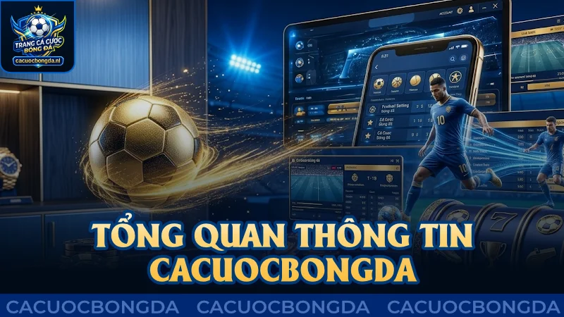 Tổng quan thông tin trang Cá Cược Bóng Đá