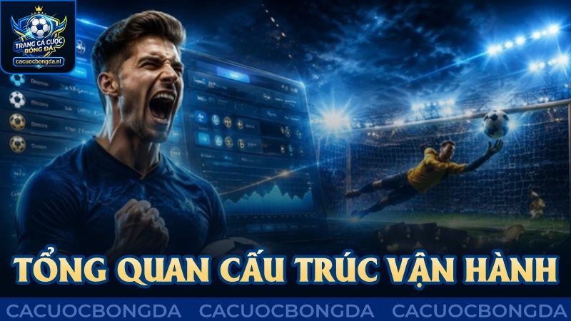 Tổng quan cấu trúc vận hành về chúng tôi