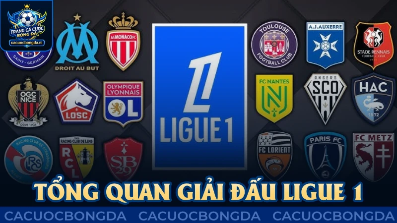 Tổng quan giải đấu hấp dẫn Ligue 1 