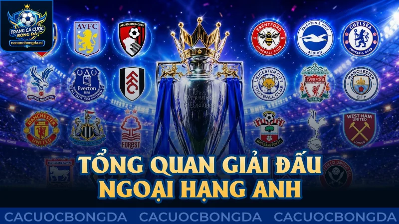 Tổng quan về giải đấu Ngoại Hạng Anh