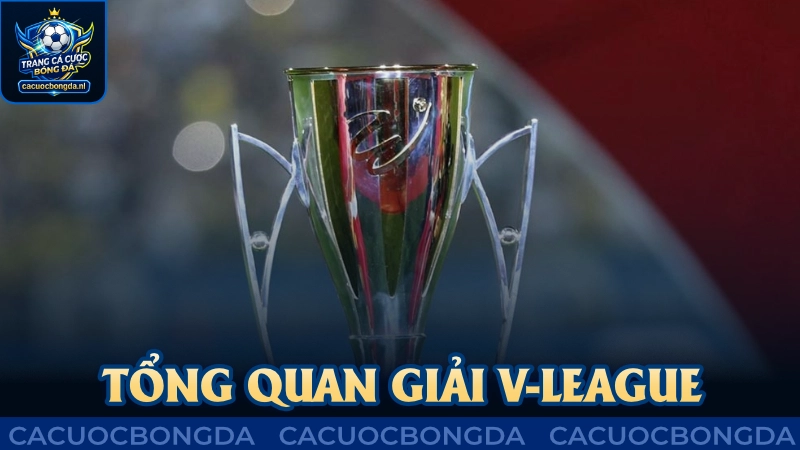 Tổng quan giải vô địch quốc gia V-League