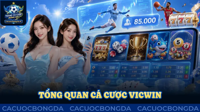Tổng quan hạ tầng cá cược Vicwin