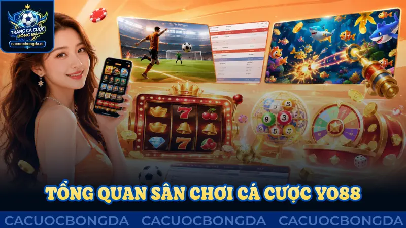 Tổng quan thương hiệu cá cược Yo88