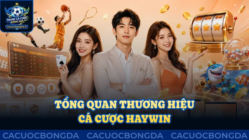 Tổng quan thương hiệu uy tín cá cược Haywin