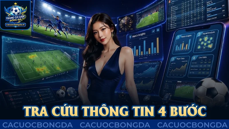 Tra cứu thông tin đơn giản với 4 bước