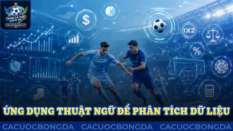 Ứng dụng thuật ngữ trong phân tích dữ liệu